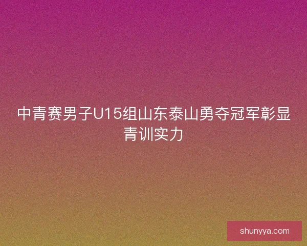 中青赛男子U15组山东泰山勇夺冠军彰显青训实力