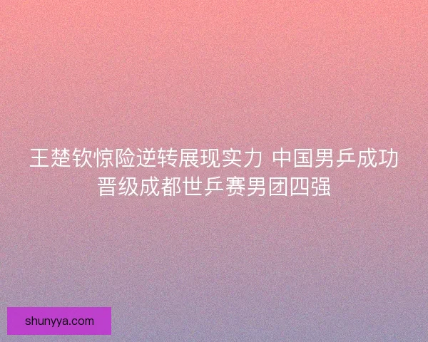 王楚钦惊险逆转展现实力 中国男乒成功晋级成都世乒赛男团四强