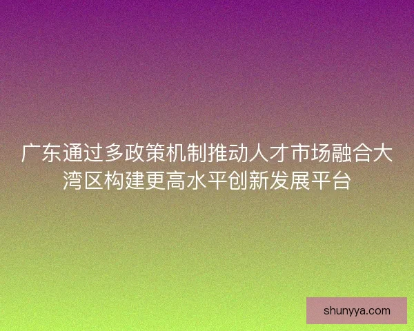 广东通过多政策机制推动人才市场融合大湾区构建更高水平创新发展平台