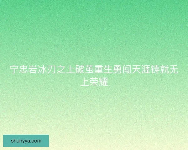 宁忠岩冰刃之上破茧重生勇闯天涯铸就无上荣耀