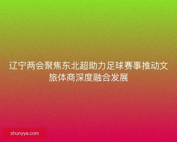 辽宁两会聚焦东北超助力足球赛事推动文旅体商深度融合发展 辽宁两会聚焦东北超助力足球赛事推动文旅体商深度融合发展